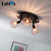 Surface Mounted LED Ceiling Light for Living Room Kitchen Track Fixture Bedroom Restaurant Bar Decor Black Lamp Angle Adjustable