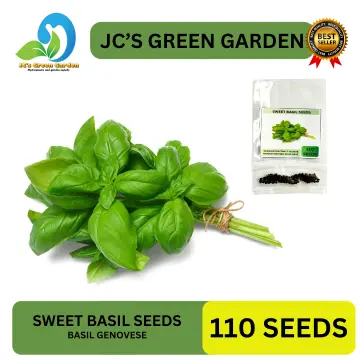 Shop Sweet Basil Seed online Lazada .ph