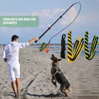 Extendable Flirt Pole Interactive Dog Toys for Small Large Dogs Chase Drag Chew Toys Outdoor Training Exercise Entertainment Toys