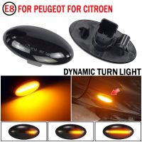 Dynamic LED Flashing Turn Signal Lamp Side Marker Lights For Peugeot 307 206 407 107 607 1007 Citroen C1 C2 C3 C5 C6 Indicator