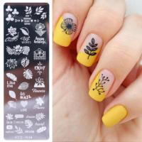 3D DIY Nail Art Stamping แผ่นดอกไม้ลูกไม้แฟชั่นแมวขัดผิว Stamper Y04