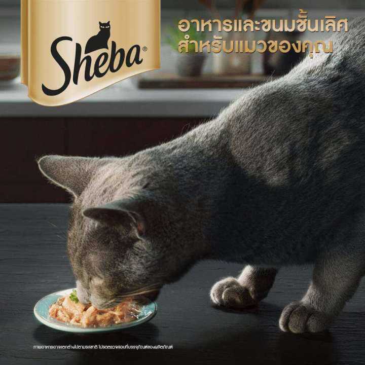 ส่งฟรี-sheba-ชีบา-ฟิเลต์-อาหารแมว-ชนิดเปียก-อาหารแมวพรีเมียมสำหรับแมวโตเต็มวัย-แพ็ก-16-60-ก
