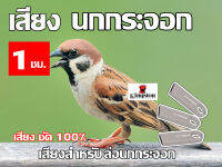 เสียง นกกระจอก นาน 1 ชั่วโมง USB แฟลชไดร์ฟ สำหรับ ใช้ล่อกระจอก