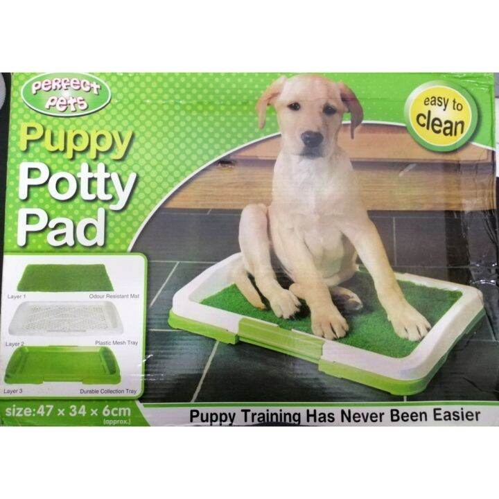 Dog/ Puppy Potty Pad Toilet Training Tray for Pets Lazada PH