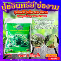 ปุ๋ยอินทรีย์ ช่องาม  (สูตร เร่งต้น) ? แบบอัดเม็ด เกรดA บำรุงต้น เร่งราก เร่งใบ ใบใหญ่ ดกหนา เขียวเงางาม ขนาด 1 กิโล?