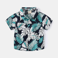 Hawaii Beach Boys Shirts Thin Fabric Toddler Tops Baby Tshirts Summer Cotton Children Kids Clothes