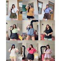 เสื้อคอปก รุ่น Mollytop07 : Plussizebymolly