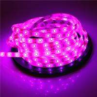 2835 SMD led strip light DC12V 5M 300LEDs flexible ribbon tape lighting White Warm white Red Green Blue Yellow Pink RGB LED Strip Lighting