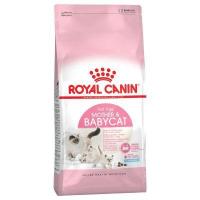 โปรโมชั่นโหด ส่งฟรี Royal canin mother &amp; babycat 2 kg อาหารเม็ดนิ่มสำหรับลูกแมว 1-4 เดือน และแม่แมวตั้งท้อง-ให้นม ขนาด 2 กก.