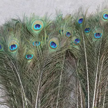 50pcs 10-12inch/25-30CM Beautiful Peacock Feathers Crafts Home Furnishing  Decor Plume DIY Party Wedding Accessories