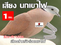 เสียง นกเขาไฟ นาน 1 ชั่วโมง USB แฟลชไดร์ฟ หมานๆๆ