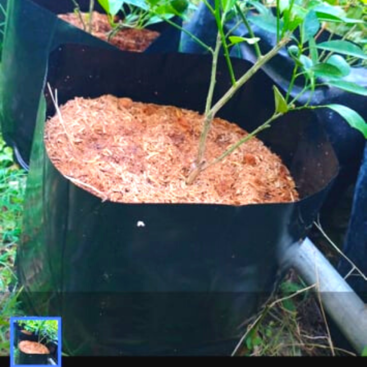 8 Sizes Big Seedlings Bags Nursery Plant Bag Garden Potting Bag Polybag