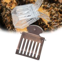 Bee Queen Catcher Bees Clip Cage เครื่องมือสำหรับอุปกรณ์คนเลี้ยงผึ้ง