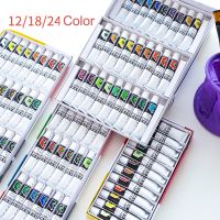 Acrylic Paints 12/18/24 Colors Professional 12ml Tubes Artist Paper Cloth Pebbles Pigment Wall Paint DIY