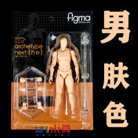 [COD]figma ร่างกาย 2.0 อุปกรณ์ประกอบฉากวาดภาพ ผู้ชาย ผู้หญิง รุ่นเยาวชน ผิวสี โมเดลที่เคลื่อนย้ายได้