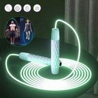 Speed Jump Rope Transparent LED Luminous Skipping Rope Crossfit Professional Men Women Gym PVC Skipping Rope Workout Slim Body