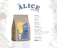 เมล็ดกาแฟคั่ว Guji Alice Washed G1