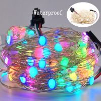 DC5V SK6812 LED String Christmas Lights for Bedroom WS2812B RGB Led Light Bluetooth Full Color Addressable Individually 2/5/10m