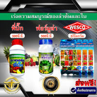 สินค้าชุด เร่งความสมบูรณ์ของลำต้นและใบ 1.พี่บิ๊ก 500มล.(ฮอร์โมน) + 2.ฟอร์มูล่า 500มล.(สารจับใบ) + 3.WESCO (ปุ๋ย 30-20-10) 3กก. / ผสมน้ำได้ 2,000ล.