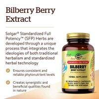 Solgar, Bilberry Berry Extract, Ginkgo Eyebright Complex