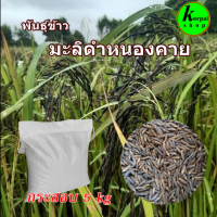 เมล็ดพันธุ์ข้าวมะลิดำหนองคาย62หรือกข83 ขนาด10 กิโลกรัม