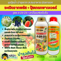 ? ชุดปุ๋ยน้ำ ระเบิดรากพลัส+เกรทพาวเวอร์ (สูตร4-24-24+อะมิโนแอดซิดเข้มข้น) บำรุงราก สะสมอาหาร เปิดตาดอก