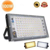 100W LED Floodlight AC 220V Outdoor Searchlight Spotlight IP65 Waterproof LED Street Light Landscape Lighting