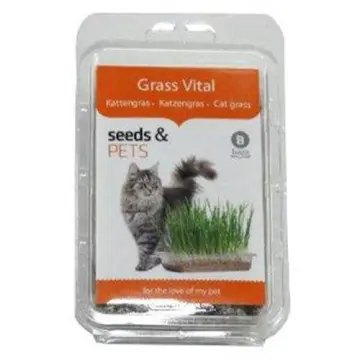 Freeze Dried Particle Cat Grass Little Cat Snacks Promptly Soluble Instant  Catnip Chicken Breast Cat Caring For Pet Cats