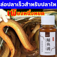 จับปลาไหลเร็ว หัวเชื้อตกปลาไหลนา60ml ดึงดูดปลาสำหรับปลาไหล เพียงหนึ่งหยด ล่อปลาไหล สิ่งล่อใจที่แข็งแกร่ง พลังเจาะลึก ดึงดูดปลา ล่อปลาอย่างรวดเร็ว ล่อปลาเร็วสำหรับปลาไห เหยื่อตกปลา หัวเชื้อดักปลาไหล หัวเชื่อตกปลา