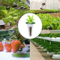 3050Pcs Plant Growing คอนเทนเนอร์เปลี่ยน Soilless การเพาะปลูก Seeding การงอก Planters สวนเครื่องมือ Garden Accessories