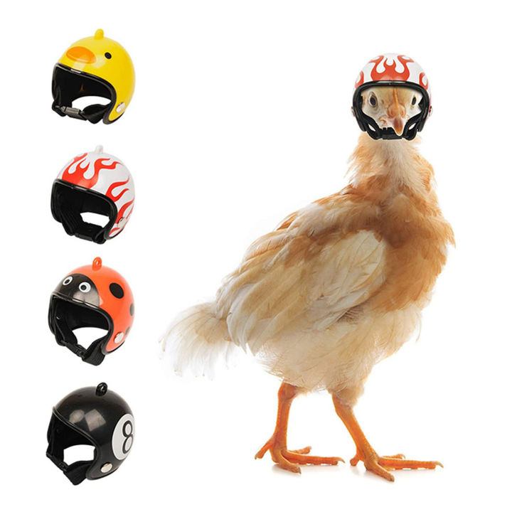 หมวกกันน็อคป้องกันรูปไก่สุดฮาอุปกรณ์สวมศีรษะหมวกนกทนทานพิมพ์ลายน่ารักเพื่อความปลอดภัยของสัตว์เลี้ยง
