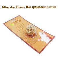 Silvervine Fitness Ball ลูกบอลมาทาทาบิ เส้นผ่านศูนย์กลาง 3.5 Cm. 1 ชิ้น