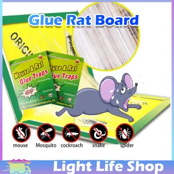 Mouse Glue Traps with Enhanced Stickiness, Rat Mouse Traps, Snake Mouse  Traps Sticky Pad Board for House Indoor Outdoor 