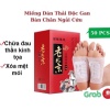 Miếng dán ngải cứu thải độc chân lão bắc kinh lao beijing set quà tặng gia - ảnh sản phẩm 1