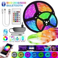 SMD 5050 LED Lights LED Strip Light RGB Tape Flexible Ribbon Diode Lamp Bluetooth Controller+DC 12V power supply