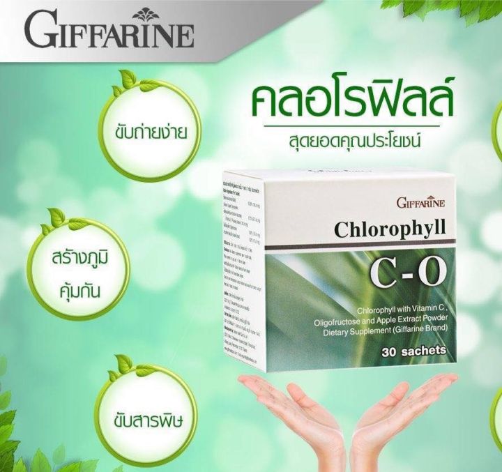 cคลอโรฟิลล์-ซี-โอ-hlorophyll-ดีท็อกซ์ลำใส้-คลอโรฟิลล์-ผสมวิตามินซี-โอลิโกฟรุคโตส-และสารสกัดจาก-แอปเปิ้ล-ชนิดผง