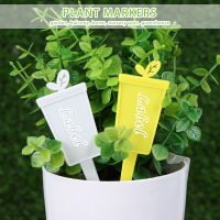 Plug-in Card Nursery Pots Plant Markers Plant Identification Pplate Seedling Tags Gardening Label Inserting Card