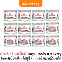 (Pack 12 กระป๋อง) Recovery อาหารเปียกให้พลังงานสูงเหมาะสำหรับสุนัขและแมวป่วยที่ทานอาหารไม่ได้/พักฟื้นหลังผ่าตัด