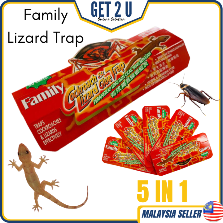 Family Lizard Glue Trap Cockroach Trap Roach Bait Killer Gam Perangkap ...