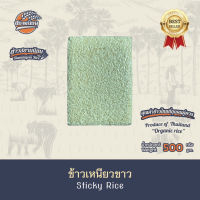 ข้าวเหนียวแม่โจ้ ขนาด 500 กรัม