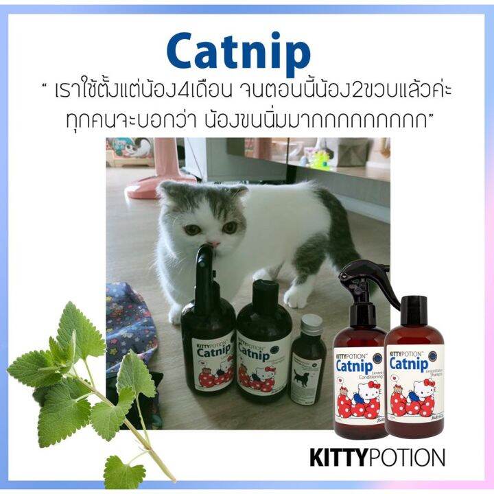 organic-pavilion-kitty-potion-catnip-shampoo-แชมพูอาบน้ำแมว-แชมพูสัตว์เลี้ยงออร์แกนิค-250ml