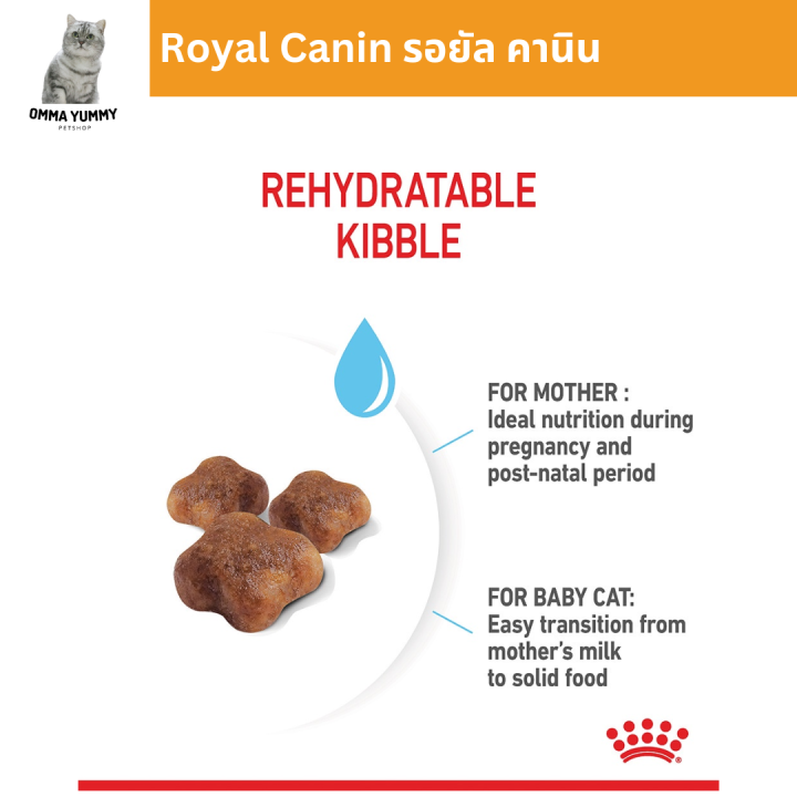 royal-canin-รอยัล-คานิน-อาหารแมว-แบ่งขาย1กิโลกรัม-อาหารแมวพรีเมียม-อาหารแมว-อาหารแมวแบบเม็ด