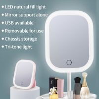 [Hot On Sale] Led Light Makeup Mirror Storage LED Face Mirror Adjustable Touch Dimmer USB Led Vanity Backlit Mirror Table Cosmetic Mirror