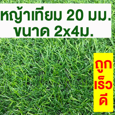 หญ้าเทียม เกรดA สูง 20มม. ขนาด 2x4ม. กันUV หญ้าเทียมราคาถูก หญ้าปลอม หญ้าเทียมถูกๆ คุณภาพดี สีไม่ซีด มีรูระบายน้ำ แต่งสวน จัดส่งไว