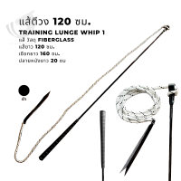 Training lunge whip1 - แส้ตีวง 120cm