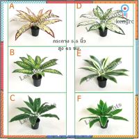 ((ต้นไม้มงคล!)) ต้นว่านมงคล เสมือนจริง สูง 40 ซม. #ต้นไม้ปลอมตกแต่งบ้าน Leeartplants ยอดขายดีอันดับหนึ่ง