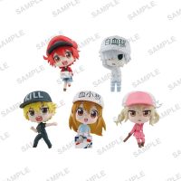 Cells at Work! Capsule Collection Figure (Set of 5) โมเดล กาชาปอง เซลล์ขยันพันธุ์เดือด Hataraku ฟิกเกอร์แท้ Gashapon