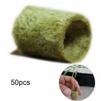 【☑Fast Delivery☑】 lezheng8515148 50/100ชิ้น Grow เสียบแพ็คขนสัตว์หินปลั๊ก-Hydroponic Rockwool สื่อ Grow กระจายโคลนก้อนขนสัตว์หิน