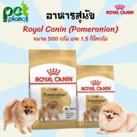 [1.5kg.][500g.] อาหารสุนัข Royal Canin Pomeranian โรยัลคานินปอมเมอริเนียน โรยัลคานิน สุนัข ปอมเมอเรเนียน อาหารหมา อาหารสัตว์เลี้ยง อาหารสุนัขแบบแห้ง