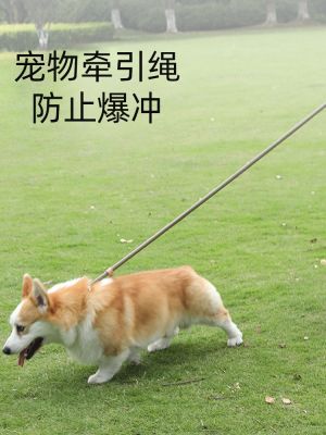 ❅◕▥ สายจูงสุนัข โซ่สุนัขเดิน โซ่ P สุนัขขนาดใหญ่ เชือก P สุนัขขนาดกลาง สายจูงคอร์กี้ สายจูงสุนัข หายใจไม่ออก วิ่งระเบิด